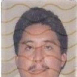MIGUEL ANGEL CHAN GONGORA