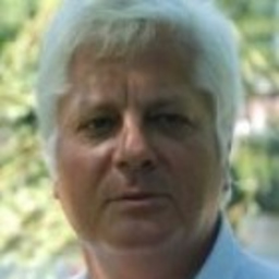 Dipl.-Ing. Ronald Mehling