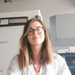 Setenay Gupse Özcan