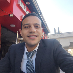 Ayman Fakhry