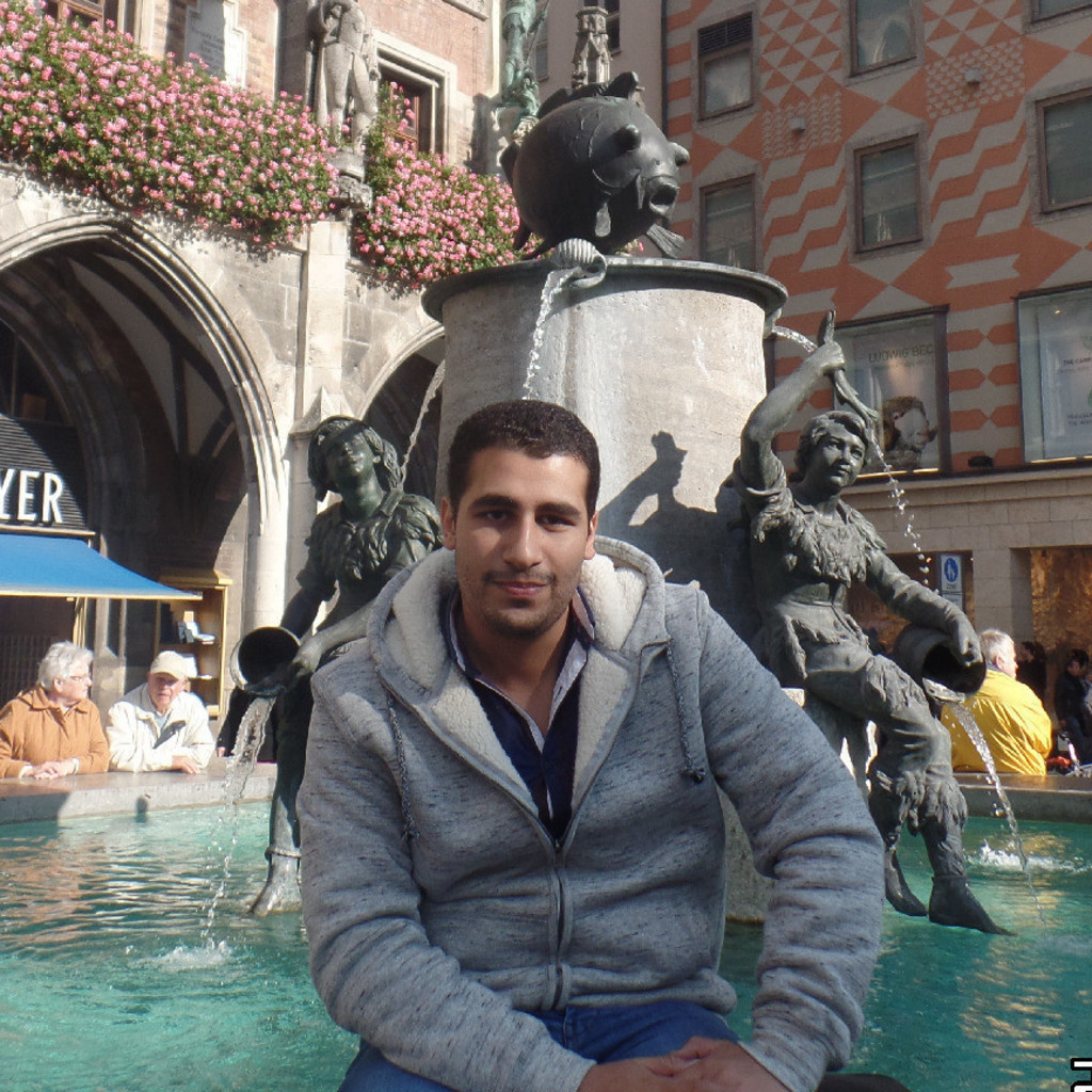 Mohamed saleh power plant operator Siemens AG Energy Management