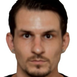 Edis Dzajic