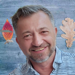 Dirk Martin