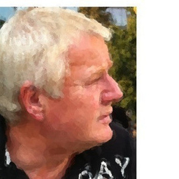 Hannes Zingrosch's profile picture