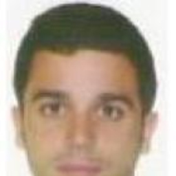 Miguel Palomares Fernández