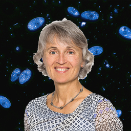 Heike Schweinsberg