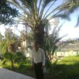 Murat Taçoral
