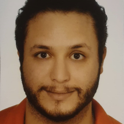 Seif Eddine Sellami