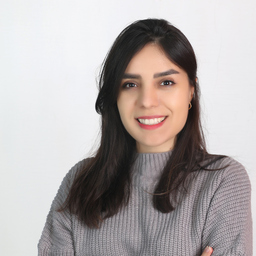 Farzaneh Rajabi