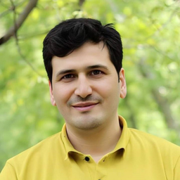 Mehdi Hesami