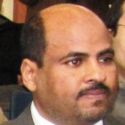 Ali Elwafi