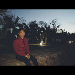 Ankit Rawat