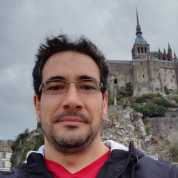 Prof. Victor Manuel Mata Merino