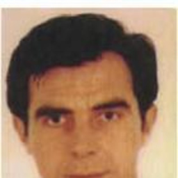 Vicente Domínguez