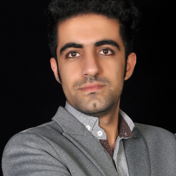 Meysam Alianezhadi