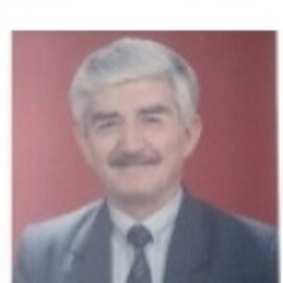 Ali Özkayalar