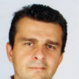 Damir Hodzic