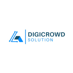 Digicrowd Laraib