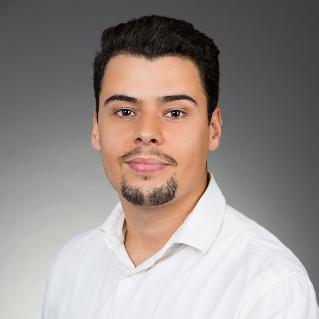 Touil Anouar Informationenstechnik Kraftwerke Mainz Wiesbaden AG XING