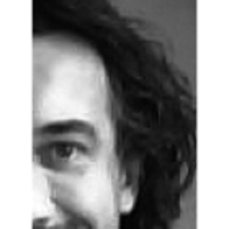 Martin Sauer