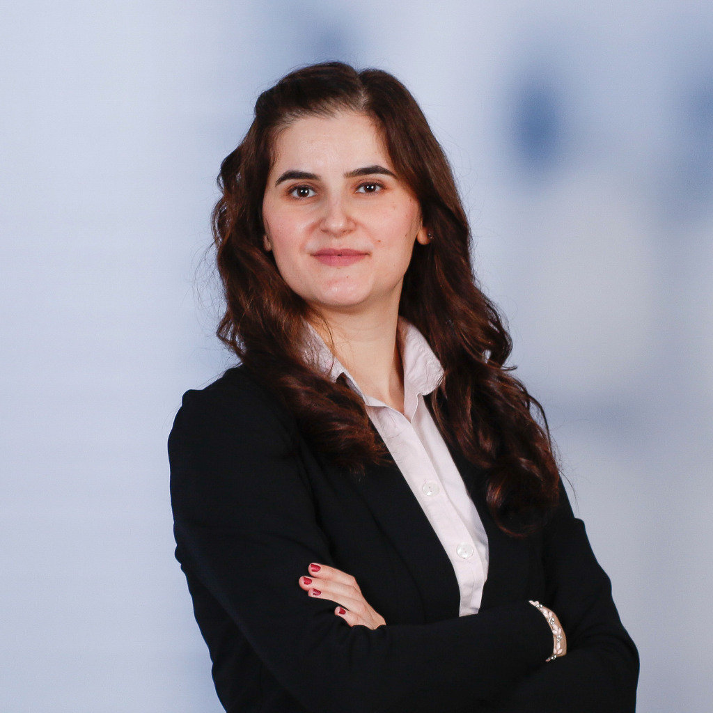 Walaa Ziadeh Financial Business Analyst wertfaktor Immobilien GmbH XING