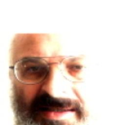 Lipa Roitman