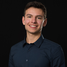 Ing. Flavio Rehn