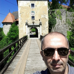 Davor Palaić
