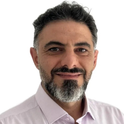 Ing. Seyed Hamed Motamedi