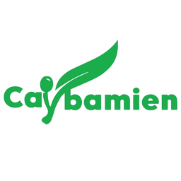 bamien cay