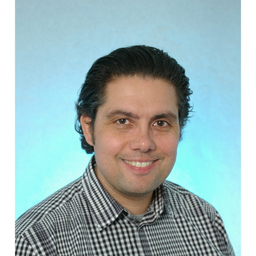 Ingo Hofmann