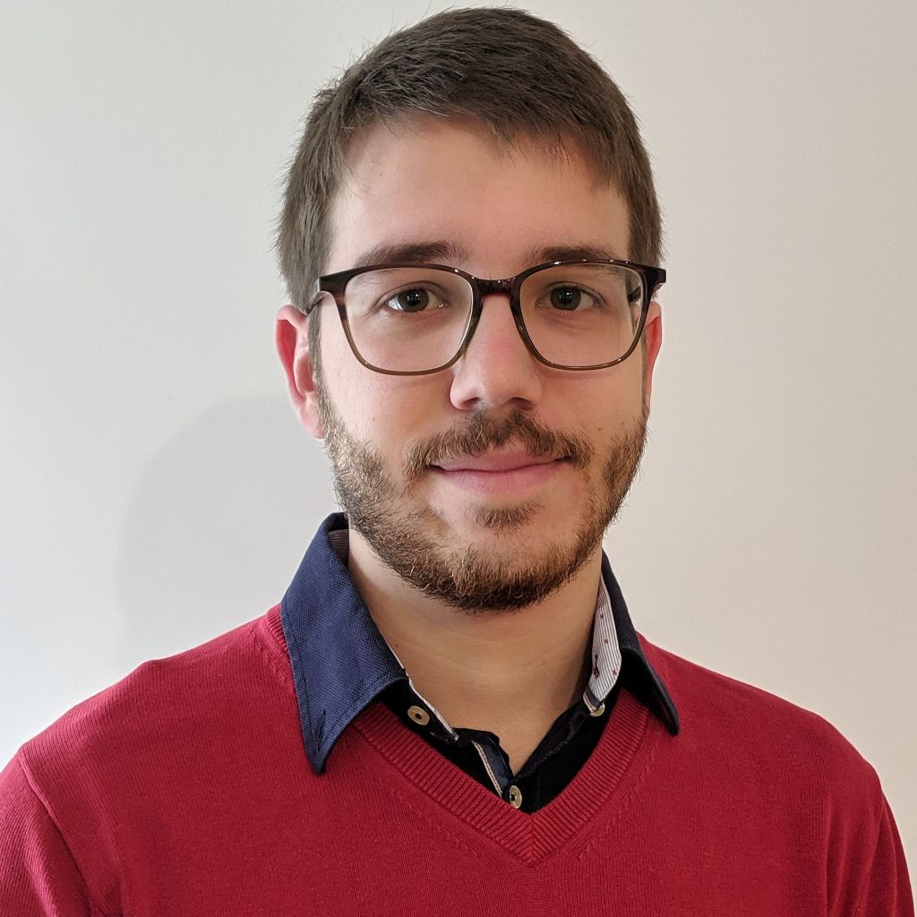 Dario Stöckli - System Engineer - Brother (Schweiz) AG | XING