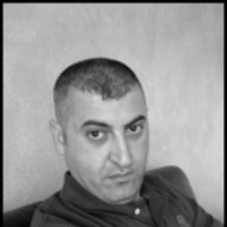 Metin Carli