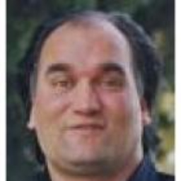 Domenico Nardi