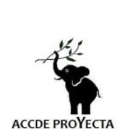 ACCDE PROYECTA