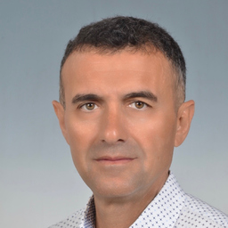 Dipl.-Ing. Georgi Georgiev