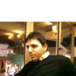 Tolga Doludizgin