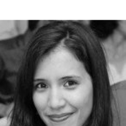 Wyem Dardouri's profile picture