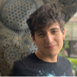 Diego leonardo Fischer ramirez