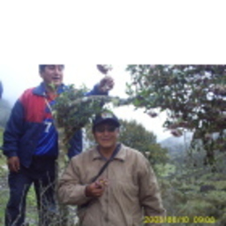 Edwin Ronald BECERRA POZO