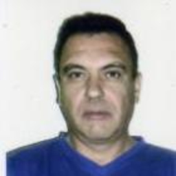 Jose Luis Peña Palomares