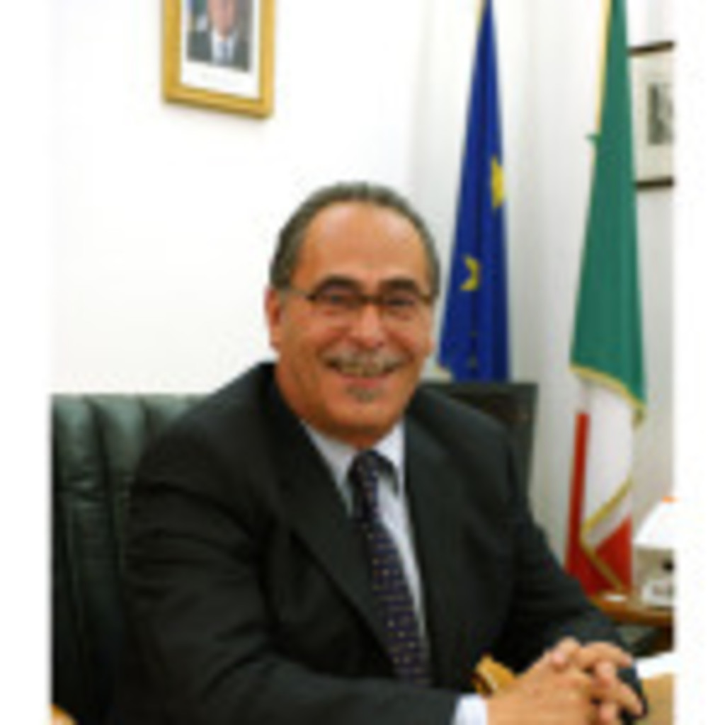 Dr. Sergio Licheri - consulente - Ministero degli Affari Esteri | XING