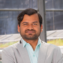 Amit Dasamani's profile picture