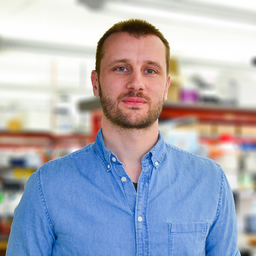Dr. Tony Cijsouw