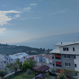Serdar Celik