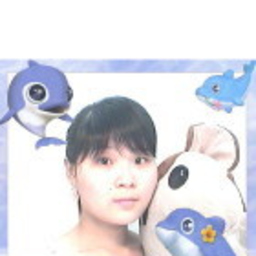 海梅 李