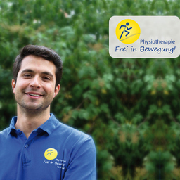 Ibrahim Haggi - Dipl. Physiotherapeut - Physiotherapie Frei In Bewegung ...