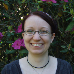 Timea Stein