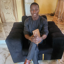 Adeyemi Godwin