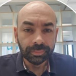 Ing. Florin Cordunianu's profile picture